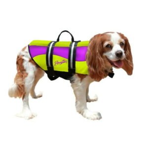 Pawz Pet Products Neoprene Dog Life Jacket, Medium, Yellow/Purple