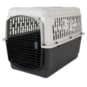 Vibrant Life Pet Kennel for Dogs, Hard-Sided Pet Carrier, Large, 40in Length