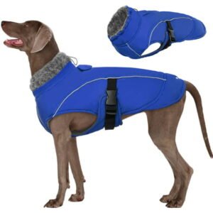 Kuoser Dog Winter Coat Warm Dog Jacket Reflective Dog Apparel for Small Medium Large Dogs Windproof Dog Vest, Blue, S-3XL