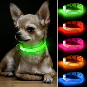 Bseen Small LED Dog Collar – USB Rechargeable Glowing Pet Collar for x-Small Dogs& Cats (Green)