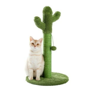 PAWZ Road Cat Scratching Posts 27″Sisal Cactus Claw Scratcher for Medium Cats,Green