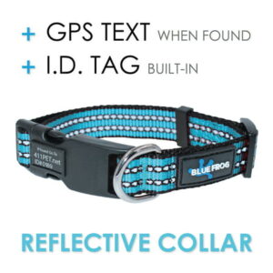 Blue Frog Track N Guard Protective GPS Tracking Dog Collar, Turquoise, Small