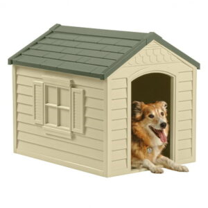 Medium Indoor & Outdoor Dog House for Small/Medium Breeds, Beige/Green