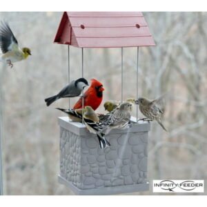 Infinity Bird Feeder – Wild Bird Feeder with 360 Degree View of Feeding Birds