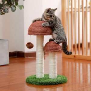 CHAJETOOY Cat Scratching Post Mushroom Claw Scratcher with Interactive Dangling Ball Brown