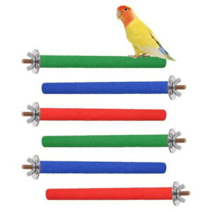 Springcorner 6 Pcs 7.87in Parakeet Perchs,Wooden Bird Perch Stand,Parrot Perches, Perch for Bird Cage for Cockatiels Lovebirds Budgies Rest