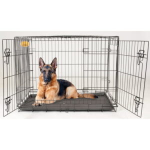 KennelMaster Double Door Folding Wire Dog Crate, Black, Large, 48″L