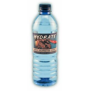 CC Pet Hermit Crab Salt Water