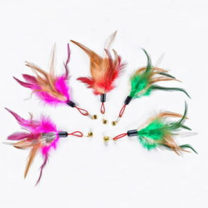 Cat Toys Interactive Cat Feather Wand , 5pcs Natural Feather Teaser Replacements, for Indoor Kitty Old Cat Exercise