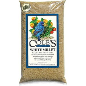 Cole’s CWBMI10 White Millet Bird Seed, 10-Pound