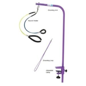 Downtown Pet Supply Dog Grooming Table Arm, No Sit Grooming Loop, Purple, 1 Haunch