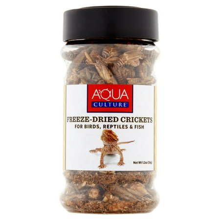 Aqua Culture Insect Flavor Dry Reptile Food,1.2 oz Bottle (1 Pack)