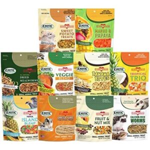 Treat Assortment 10 Pack – Healthy Treat With Mix Of Dried Fruits, Dried Insects, & Crunchies – Sugar Gliders, Rats, Chinchillas, Parrots, Guinea Pigs, Hamsters, Small Animals – Sample Variety