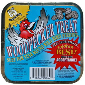 C&S Woodpecker Suet Treat, 11 oz Cake, Wild Bird Suet, 12 Pack