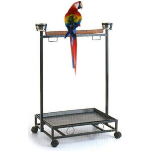 Large Wrought Iron Parrot Bird Play Stand Natural Wood Perch Stainless Steel Bowls Play Gym Play Ground Rolling Stand