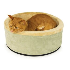 XP Pet Cat Bed, Green