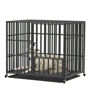 BingoPaw Square Tube Steel Higher Dog Crate with Wheels, Tray, Extra Large, 42″L