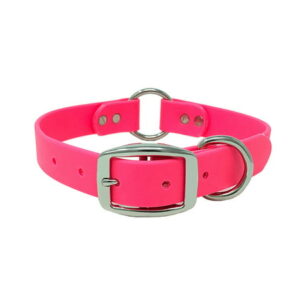 Regal Dog Products Waterproof Dog Collar with Heavy Duty Center Ring, Double Buckle and D Ring