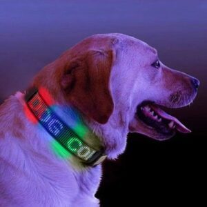 Leadleds Programmable LED Dog Collar, USB Rechargeable Pet Leashes Collars，Adjustable Safety Glow at Night Collar for Large, Medium Dog