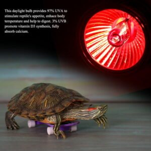 FAGINEY 1Pc UVA UVB Reptile Heating Light Bulb Snake Turtle Pet Full Spectrum Sunlight Lamp, Reptile Light Bulb, Reptile Heating Light