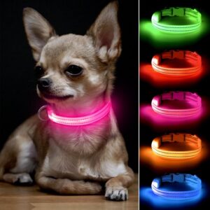 Bseen LED Cat Dog Collar – USB Rechargeable Glowing Pet Collar for Small Dogs& Cats (Pink)