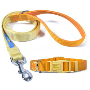 The Dodo Yellow Dog Collar and Leash Set – Small