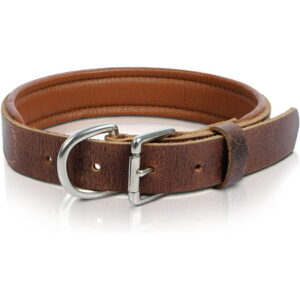 RAWHYD Adjustable Leather Dog Pull Collar, Padded Collar for Medium Dogs and Large Dogs Leather Collar, Bourbon Brown