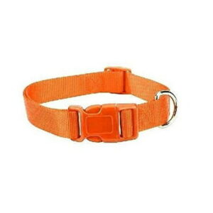 ORANGE DOG COLLAR BULK LOT PACKS 4 Sizes Nylon Litter Band Puppy Rescue Shelter(Medium – 14 to 20 Inch 30 Collars)