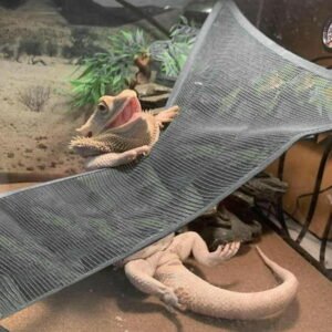 Reptile Hammock Bearded Dragon Acc Sleeping Bed Lounger Climbing Black