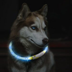 All for Paws K-nite USB Rechargeable LED Light up Dog Collar for Safe Night Walking , Medium to Large Dogs