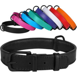 Leather Dog Collar Puppy Collars for Medium Dogs Soft Padded, Black