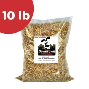 Downtown Pet Supply Dried Mealworms For Chicken Feed, Turtle Food 10 lbs