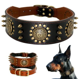 Didog Genuine Leather Spiked Studded Medium Large Dog Collar- Heavy Duty Pet Collars Wide Adjustable Rivet Neck Strap Pitbull Mastiff(Brown,L)