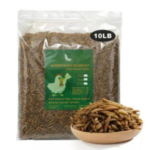 Euchirus 10LB Non-GMO Dried Black Soldier Fly Larvae – 85XMore Calcium than Mealworms – Treats for Chickens,Duck, Reptiles, Hedgehog, Turtles
