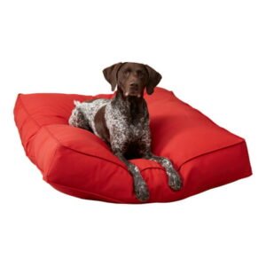 Happy Hounds Casey Indoor/Outdoor Pillow Style Dog Bed, Salsa, Large (48 x 36 in.)