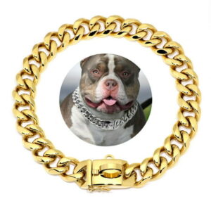 Didog Pet Dog Collar Necklace,35cm/45cm/55cm Heavy Duty Cuban Dog Chain for Large Dogs,Strong Stainless Steel Metal Links Slip Chain Collar,Gold(35cm/13.8inch)