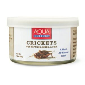 Aqua Culture Crickets 1.2 oz
