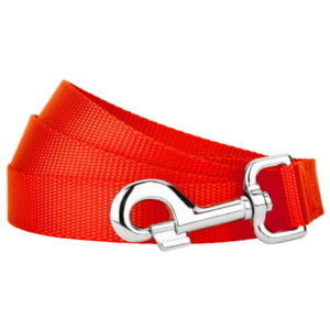 Country Brook Petz® 3/4 inch Nylon Dog Leash – Hot Orange, 6 Foot