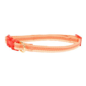 Vibrant Life Bright Stripe Recycled Dog Collar