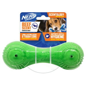 Nerf Dog Scentology Beef-Scented Barbell Chew Dog Toy – 7 inches, Green