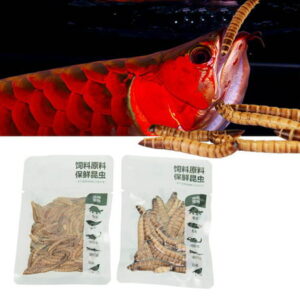 EOTVIA Mealworm Nutritious Safe Vacuum Packaging Reptile Worms Food for Fish Birds Rodents Barleyworm Food Reptile