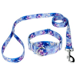 Country Brook Petz® Watercolor Butterflies Martingale Dog Collar and Leash, Large