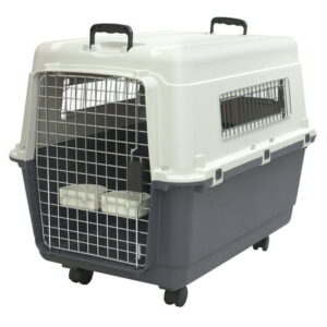 SportPet Designs Plastic Dog IATA Airline Approved Kennel Carrier, Large