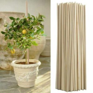 Natural Bamboo Stakes 8 Inch, Eco-Friendly Garden Stakes, Plant Stakes Supports Climbing for Tomatoes, Trees, Beans