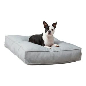 Happy Hounds Casey Indoor/Outdoor Pillow Style Dog Bed, Heather, Medium (42 x 30 in.)