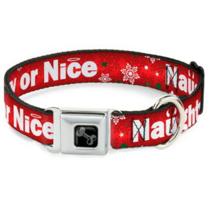 Buckle-Down Pet Collar, Dog Collar Metal Seatbelt Buckle, Christmas Naughty or Nice Snowflakes Reds White Green, 13 to 17 Inches 1.5 Inch Wide