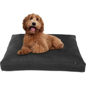 PawTex Licorice Black Thick Rectangular Dog Bed Durable Pet Sleeping Cushion Dog and Cat Beds with Removable Washable Cover 27×36