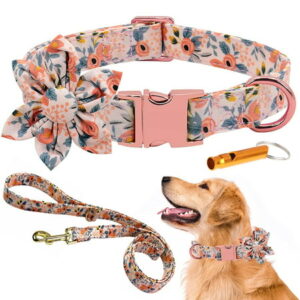 3PCS Dog Collar Leash Set for Small/Medium/Large Dogs