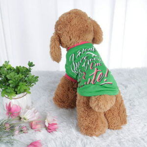 Pet T Shirt Spring Summer Dog Puppy Small Pet Cat Apparel Clothes Costume Vest Tops #1 Stripe Style, XS