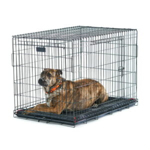 Vibrant Life Double-Door Folding Metal Wire Dog Crate with Divider, XL, 42″